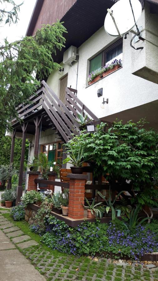 Agave Apartman Velence Luaran gambar