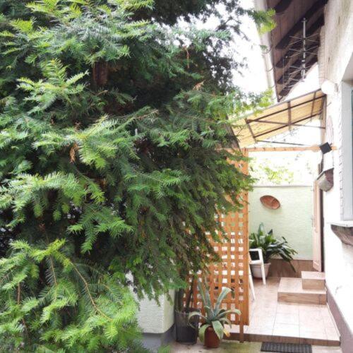 Agave Apartman Velence Luaran gambar