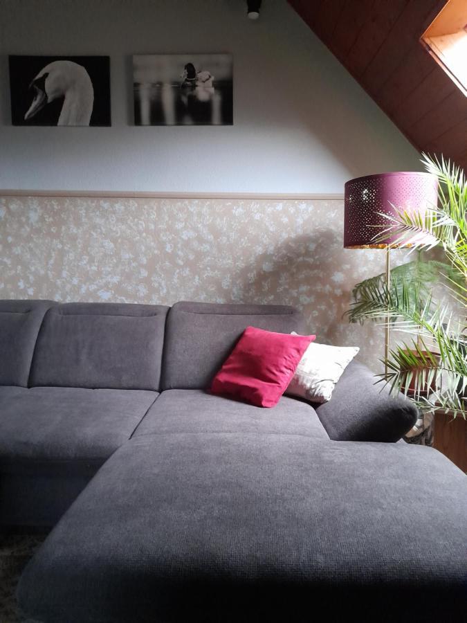 Agave Apartman Velence Luaran gambar