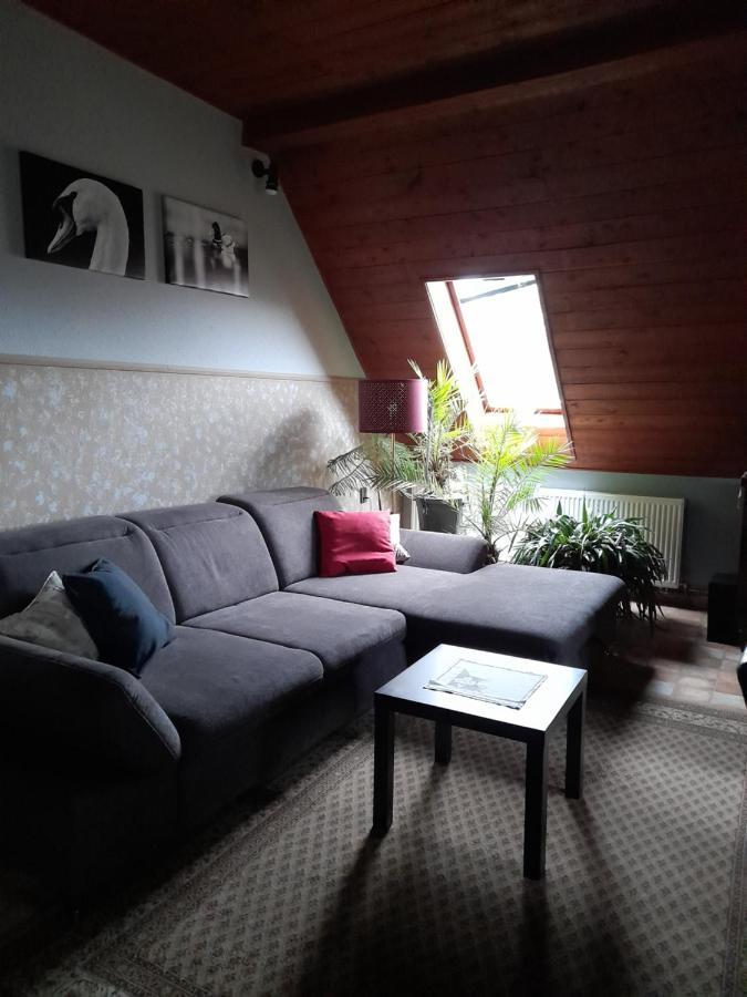 Agave Apartman Velence Luaran gambar